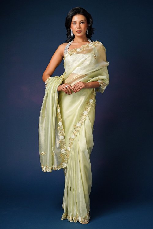 Pastel Green Shimmer Net Saree In White Moti and Cutdana Buttis Border