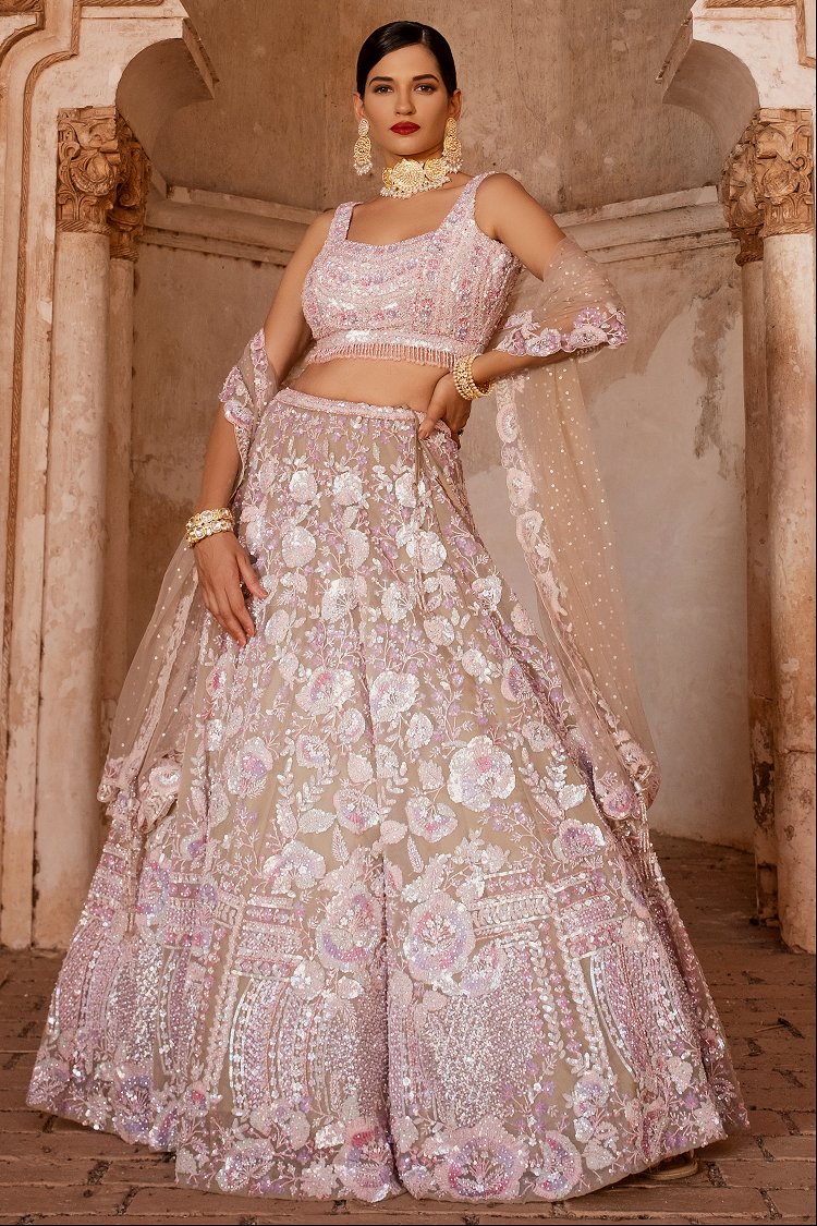 Taupe Organza Flared Lehenga with Sequins Work
