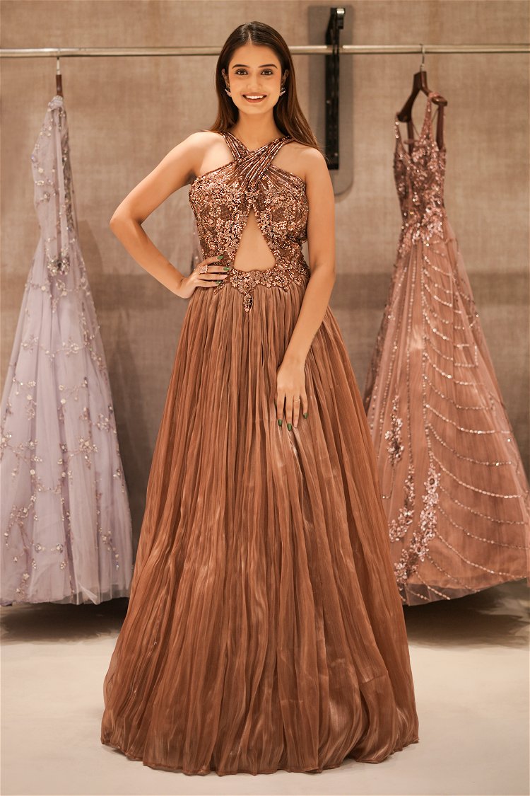 Light Brown Embellished Gown in Organza with Sequins and Beads Work
